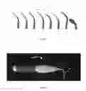 Fig. 06 - SYSTEM AND METHOD FOR ACOUSTICAL ENDODONTICS