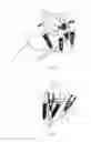 Fig. 07 - DEVICE FOR USE IN DENTAL TECHNOLOGY