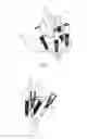 Fig. 09 - DEVICE FOR USE IN DENTAL TECHNOLOGY