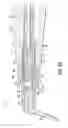 Fig. 10 - Adapters, tips, and dental assemblies
