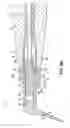 Fig. 11 - Adapters, tips, and dental assemblies