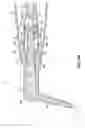 Fig. 15 - Adapters, tips, and dental assemblies