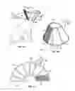Fig. 03 - Veterinary devices with a light source and antimicrobial solution