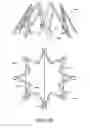 Fig. 19 - Adjustable endolumenal implant for reshaping the mitral valve annulus