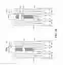 Fig. 20 - Adjustable endolumenal implant for reshaping the mitral valve annulus