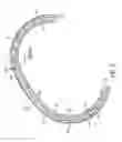 Fig. 05 - Dynamic annuloplasty ring sizer