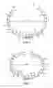 Fig. 06 - Dynamic annuloplasty ring sizer