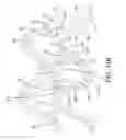 Fig. 25 - Stent having adjacent elements connected by narrow flexible webs