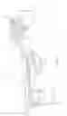 Fig. 30 - Orthopedic device for treating complications of the hip
