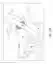 Fig. 22 - PORTABLE CERVICAL TRACTION DEVICE
