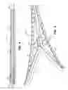 Fig. 06 - Variable stiffness flexure