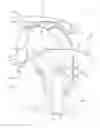 Fig. 01 - Ear-engaging and eye-covering head assembly