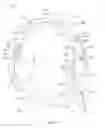 Fig. 17 - Ear-engaging and eye-covering head assembly