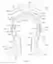 Fig. 23 - Ear-engaging and eye-covering head assembly