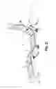 Fig. 33 - Adjustable support device adjustable by an electric motor