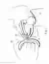 Fig. 08 - Penis enhancement and massage device and method