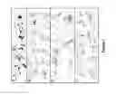 Fig. 08 - Compositions and methods for reducing skin pigmentation