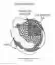 Fig. 01 - Low density lipoprotein nanocarriers for targeted delivery of omega-3 polyunsaturated fatty acids to cancer