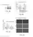 Fig. 06 - Low density lipoprotein nanocarriers for targeted delivery of omega-3 polyunsaturated fatty acids to cancer