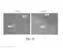 Fig. 20 - Low density lipoprotein nanocarriers for targeted delivery of omega-3 polyunsaturated fatty acids to cancer