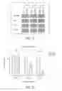 Fig. 26 - Low density lipoprotein nanocarriers for targeted delivery of omega-3 polyunsaturated fatty acids to cancer