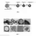 Fig. 04 - HOLLOW NANOPARTICLES WITH HYBRID DOUBLE LAYERS