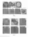 Fig. 06 - HOLLOW NANOPARTICLES WITH HYBRID DOUBLE LAYERS