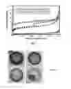 Fig. 16 - HOLLOW NANOPARTICLES WITH HYBRID DOUBLE LAYERS