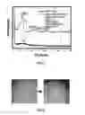 Fig. 19 - HOLLOW NANOPARTICLES WITH HYBRID DOUBLE LAYERS