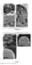 Fig. 22 - HOLLOW NANOPARTICLES WITH HYBRID DOUBLE LAYERS