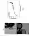 Fig. 27 - HOLLOW NANOPARTICLES WITH HYBRID DOUBLE LAYERS