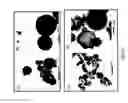 Fig. 30 - HOLLOW NANOPARTICLES WITH HYBRID DOUBLE LAYERS