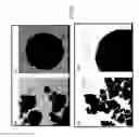 Fig. 31 - HOLLOW NANOPARTICLES WITH HYBRID DOUBLE LAYERS
