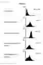 Fig. 13 - COMPOSITION FOR REGENERATING NORMAL TISSUE FROM FIBROTIC TISSUE
