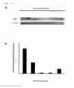 Fig. 17 - COMPOSITION FOR REGENERATING NORMAL TISSUE FROM FIBROTIC TISSUE