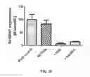 Fig. 28 - COMPOSITION FOR REGENERATING NORMAL TISSUE FROM FIBROTIC TISSUE