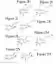 Fig. 04 - Affinity medicant conjugate