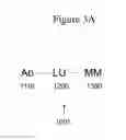Fig. 07 - Affinity medicant conjugate