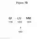 Fig. 08 - Affinity medicant conjugate