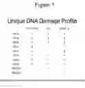 Fig. 10 - Affinity medicant conjugate