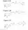 Fig. 17 - Affinity medicant conjugate