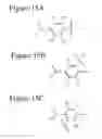 Fig. 20 - Affinity medicant conjugate