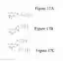 Fig. 22 - Affinity medicant conjugate