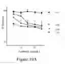 Fig. 24 - Affinity medicant conjugate