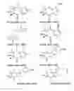 Fig. 27 - Affinity medicant conjugate