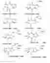 Fig. 31 - Affinity medicant conjugate