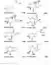 Fig. 50 - Affinity medicant conjugate