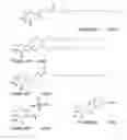 Fig. 57 - Affinity medicant conjugate