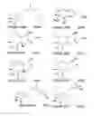 Fig. 60 - Affinity medicant conjugate