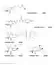Fig. 69 - Affinity medicant conjugate